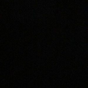 Meet your Posher, Kelsie